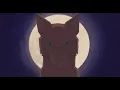 Lagu Age of Tigerclan (Warrior Cats PMV)