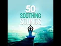 Spring Bird Song - The Sounds of Earth Group