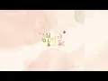 나비(Navi) - 봄별꽃