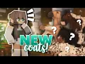 EXPLORING NEW SWEM COATS 150 MC Equestrian with Val Rachel