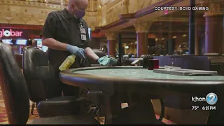 Vacations Hawaii optimistic about summer travel