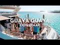 Don Omar - Guaya Guaya (Visualizer)