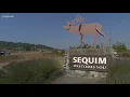 He doesn t represent us Group wants Sequim mayor ousted after QAnon conspiracy comments