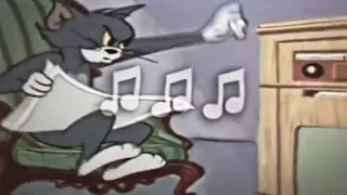 تصميم شاشة سوداء    اه لقيت الطبطبه  تصاميم انستغرام حالات واتساب   دندنها