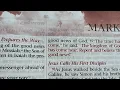 Mark 2 niv bible