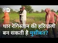 Download Lagu थार रेगिस्तान की हरियाली क्या वाकई एक चमत्कार है? [Thar Desert: Booming harvests, fragile soil]