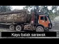 Download Lagu Kayu balak di sarawak