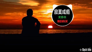 Download [ Hot TIKTOK - Pinyin ] Nghiện Cô Đơn REMIX - Hoàng Tĩnh Mỹ | 寂寞成瘾 - Huang Jing Mei | DJ Remix MP3
