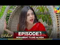 Download Lagu Mohabbat Tujhe Alvida Episode 1