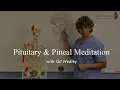 Pituitary Pineal Gland An Anatomical Meditation with Gil Hedley