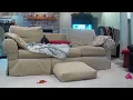 Audrey Ava Yorkie Sisters Age 2 Obstacle Course