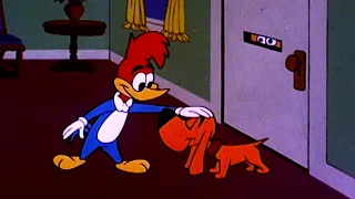 Pica-Pau | Mega Compilação Clássica Vol. 35 | Desenhos Animados Retrô Engraçados