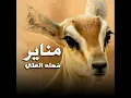 شيلة مناير