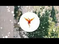 Sabrina Carpenter - Skin (DJ ALD Remix)