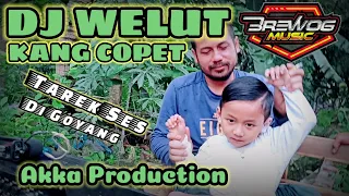 Download DJ WELUT KANG COPET Full Bass Glerr | Brewog Music Feat Akka Production MP3