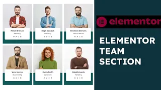 5 minutes to a stunning team section in wordpress with elementor