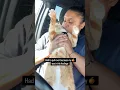Download Lagu Air biscuits 🤭 #seventheorangecat #pupcup #catadventures #catlovers #cats