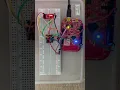 Embedded Microcontrollers Portfolio 1 Task 1 Credit Task Q2