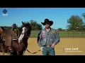 Levi Lord Signature Equine