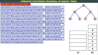 Trees - 11