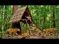 Lagu 30 Days of Survival: A Shelter in a Tree to Avoid a Surprise Tiger Attack