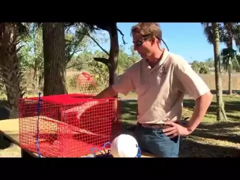 How to Pinfish Trap Use and Specifications