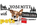 is Tenaya Lodge Yosemite Pet Friendly