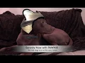 PAWNIX - SPLASH