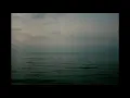 Biosphere - Poa Alpina (800% slower)