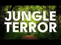 Download Lagu JUNGLE TERROR MIX
