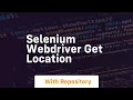 selenium webdriver get location