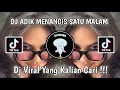 Download Lagu DJ ADIK MENANGIS SATU MALAM VIRAL TIK TOK TERBARU YANG KALIAN CARI!