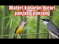 Lagu MASTERAN KASARAN VIRAL | pijantung pisang vs jinjing petulak