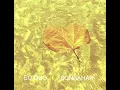 Sonbahar - SO Duo