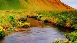 سورة البقرة كاملة 