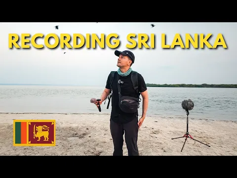 Download MP3 FIELD RECORDING IN SRI LANKA? SONY, SCHOEPS & SOUND DEVICES MIX PRE 10ii