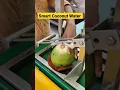 Download Lagu Smart Coconut Water Cart | Most Amazing Nariyal Pani Machine | Indian Street Food