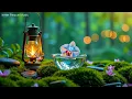 Relaxing Music + Sound of Water 🌿 Calm Your Mind, Anxiety Relief, Deep Sleep | Deep Healing & Focus