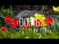46 Second Timer with Music Spring Timer