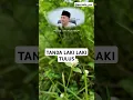 Download Lagu TANDA LAKI LAKI TULUS #motivasidiri #tiktok #shorts