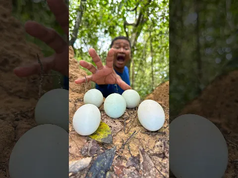 Clay and Egg Survival I Tried The Ultimate Forest Hack
