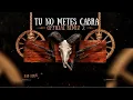 Tu No Metes Cabra Remix - Bad Bunny, Mora, Daddy Yankee, Brray, Darell, Anuel AA (Visualizer)