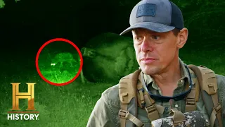 Pogledaj video: U epizodi Unexplained Cattle Mutilations (Sezona 1) serijala Hunting History, Steven Rinella putuje na udaljene rančeve u Oregonu kako bi istražio zagonetnu pojavu sakaćenja stoke. Koristeći svoj lovački i prirodnjački pristup, ispituje da li su krivci predatori, strvinari, ljudi ili neka nepoznata sila.
