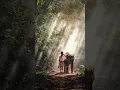 Download Lagu Psychic Animal Communication! An Anthology of Divine Attuned Soul-Connecting Experiences! #ytshorts