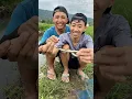Download Lagu Nyari BELUT Dapatnya ULAR.😭 #bolang #petualangan #survival #ular