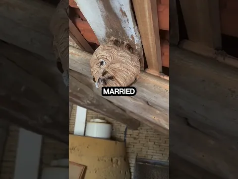 #core