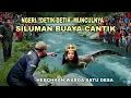 Lagu Siluman buaya yang pernah viral muncul lagi setelah menghilang puluhan tahun di jawa Tengah