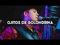 Ojitos De Golondrina - Herencia De Grandes, Edicion Especial, Los Tucanes De Tijuana