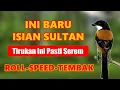 Download Lagu Full Isian Variasi Kesukaan Juri ❗ Masteran Cendet Trotol Jeda Terbaru