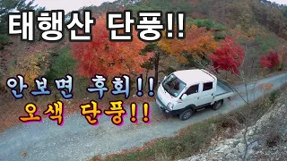 몰라서 구경할수 없는곳 //2020 태행산 단풍// 2부!! Autumn Maple of Korea!! 썸네일